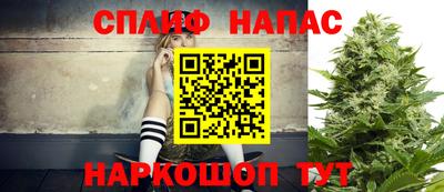 стафф Кимры