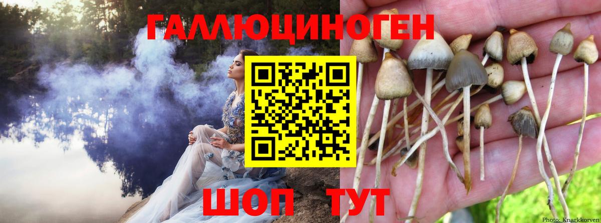 Кубинка  наркошоп  Вход с VPN  Псилоцибиновые грибы мухоморы 